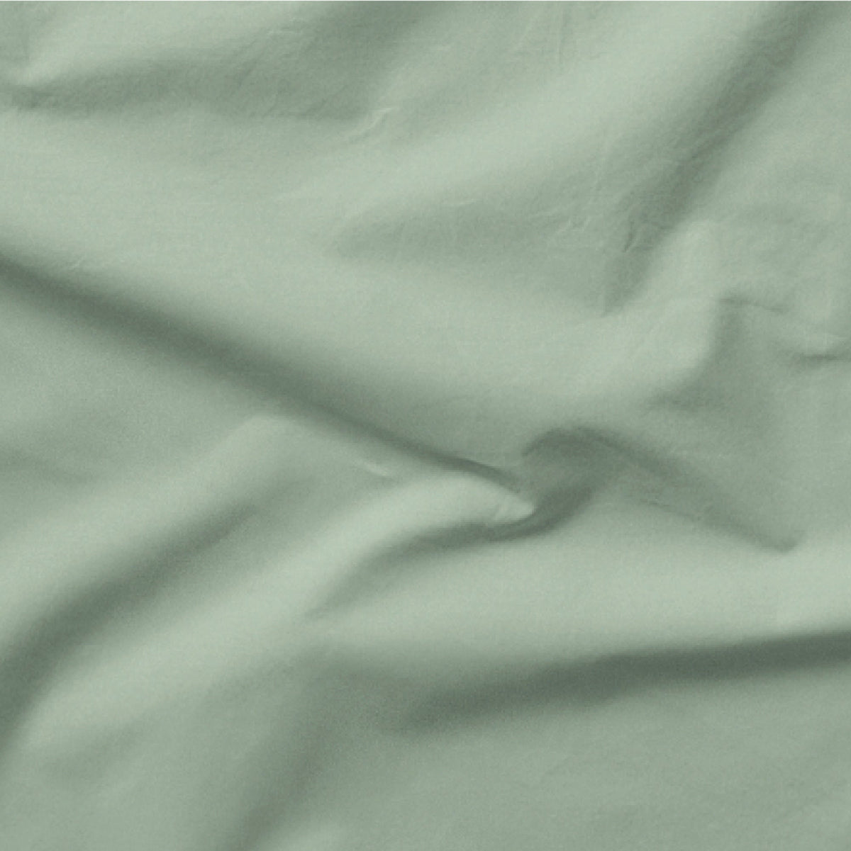 The Tuft and Needle Classic Percale Sheet Set, one sheet spread out || color: Sage

